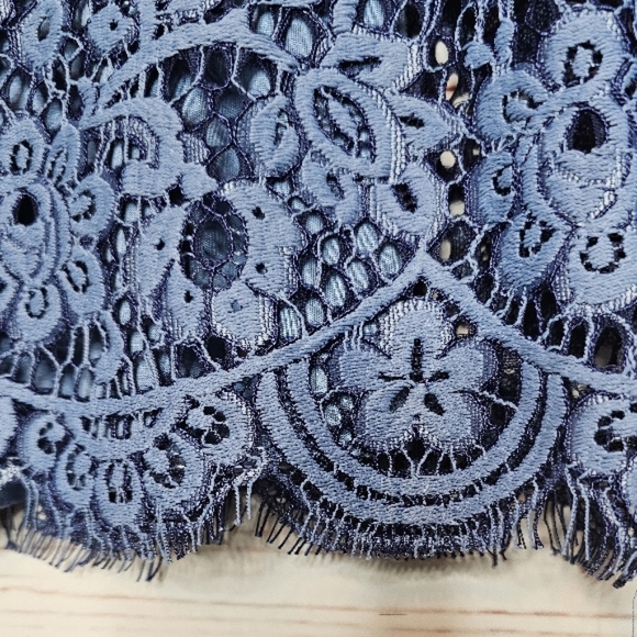 Sundance Adriana Sheer Lace Top - Picture 4 of 8